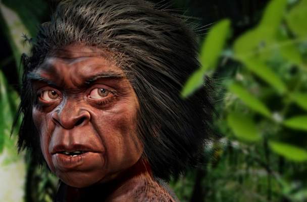 На Филиппинах нашли останки древнего человека ростом меньше «хоббита»