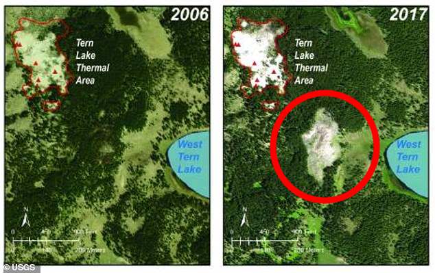 Йеллоустонский вулкан расширяется и уничтожает деревья в парке