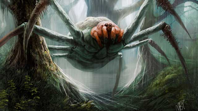 Гигантский паук Джейба Фофи: Загадка лесов Конго