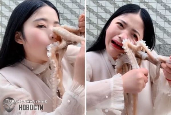 Китаянка пыталась съесть живого осьминога, но что-то пошло не так