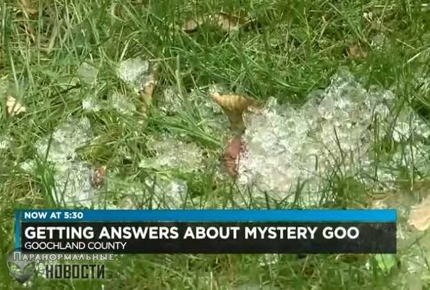 На траве в Вирджинии нашли желеподобные сгустки странного вещества
