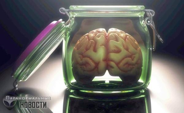 «Уверяем вас, оно не думает»: Ученые вырастили мини-мозг и наблюдали у него активность нейронов