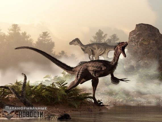 Встречи с живыми динозаврами в «зоне четырех углов»‎ США