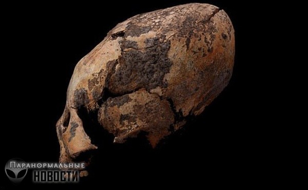 Самые древние в мире вытянутые черепа обнаружили в Китае