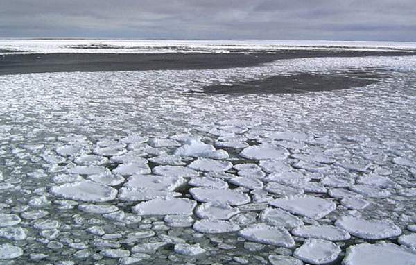 За три года Антарктида потеряла лед на площади размером с Мексику