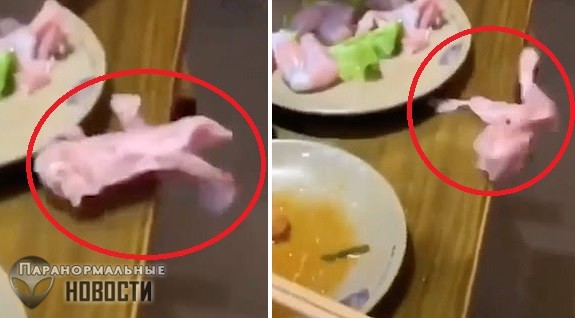 Сбежавший со стола живой кусок мяса напугал посетителей ресторана