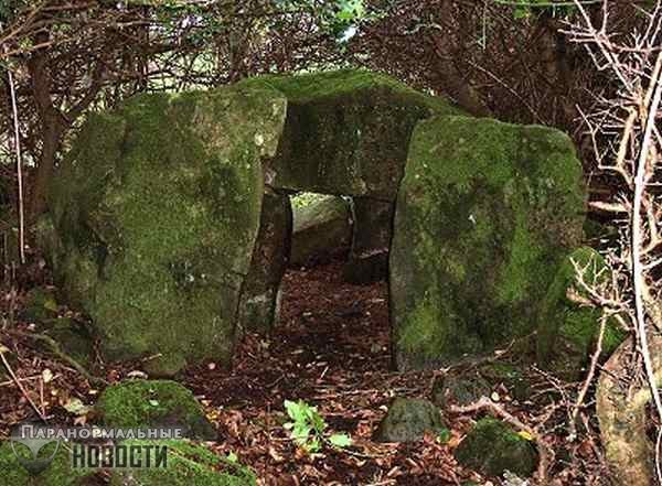 Аномальные явления и странные «первобытные люди» в ирландском лесу Баллиболи Форест