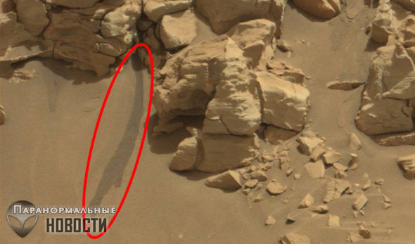 На фото Марса нашли жидкую воду, но НАСА об этом молчит