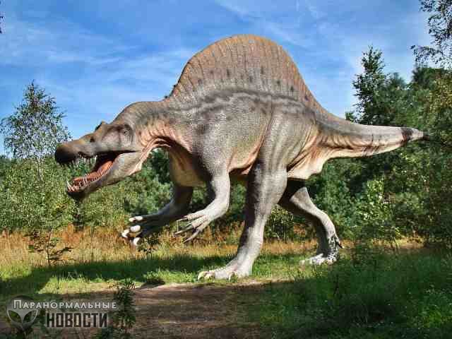 Геолог выяснил почему динозавры вырастали такими большими