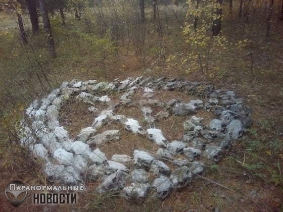 В лесу под Тольятти грибник нашел пентаграмму из черепов