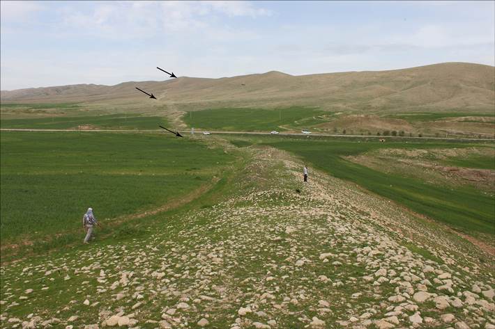 Новая археологическая загадка: В Иране обнаружили древнюю 115-километровую каменную «стену»