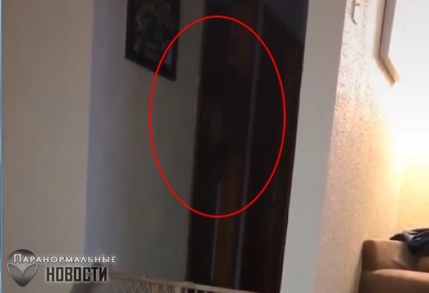 Странное черное существо в доме попало на видео