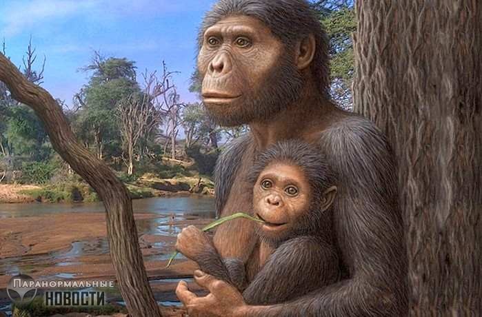 Ученые внезапно обнаружили, что древние австралопитеки были глупее современных обезьян