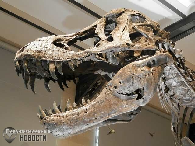 Выяснилось, что динозавры стали вымирать еще ДО падения астероида