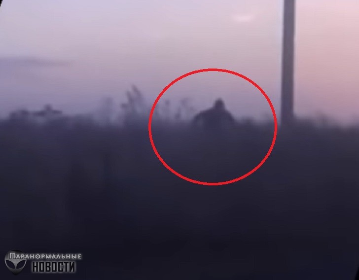 В Башкортостане сняли на видео Снежного Человека, бегущего за автомобилем