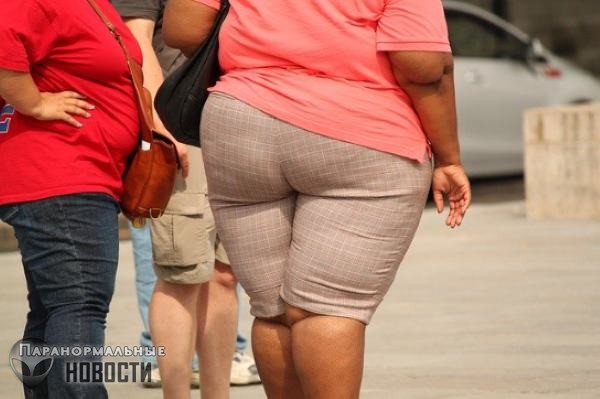 Эпидемия ожирения нарастает: В США через 10 лет каждый второй станет толстяком