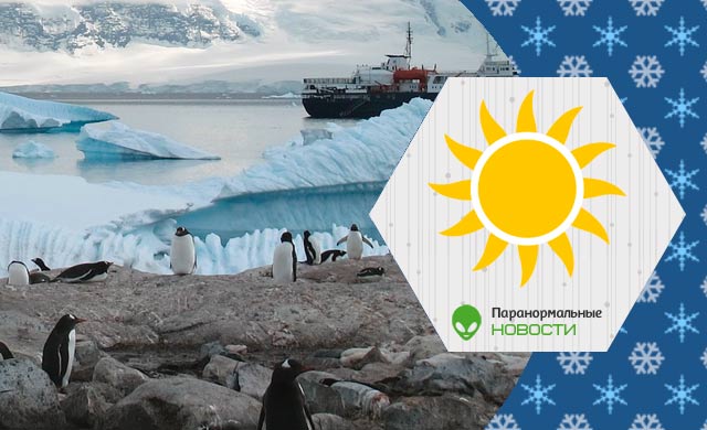 Всего за 10 дней февраля 2020 года антарктический остров лишился 20% своего льда