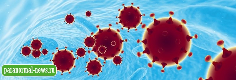 Так все-таки США? Информацию о коронавирусе обнаружили в американском журнале за 2015 год