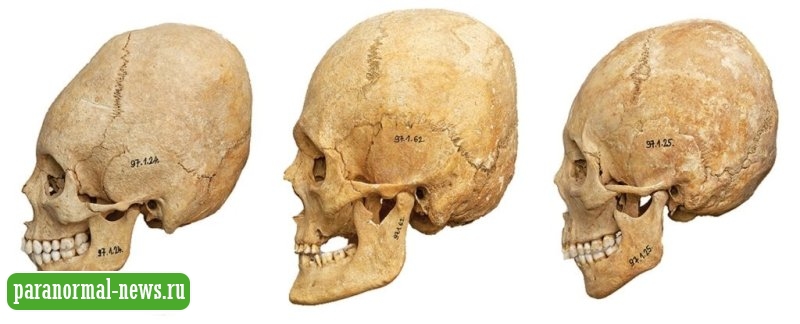 Уникальное древнее кладбище в Венгрии, на котором нашли полсотни удлиненных человеческих черепов