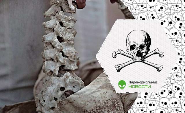 Верный принципам Ильзы Кох: В Индонезии дизайнер создал сумку из настоящих детских костей
