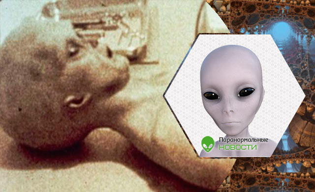 «Серые» пришельцы на самом деле биороботы: Откровения полковника Корсо