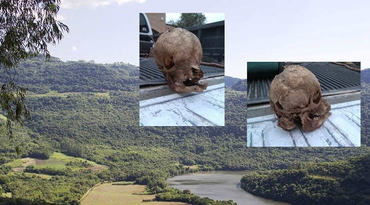 Странный череп найден на ранчо в Техасе