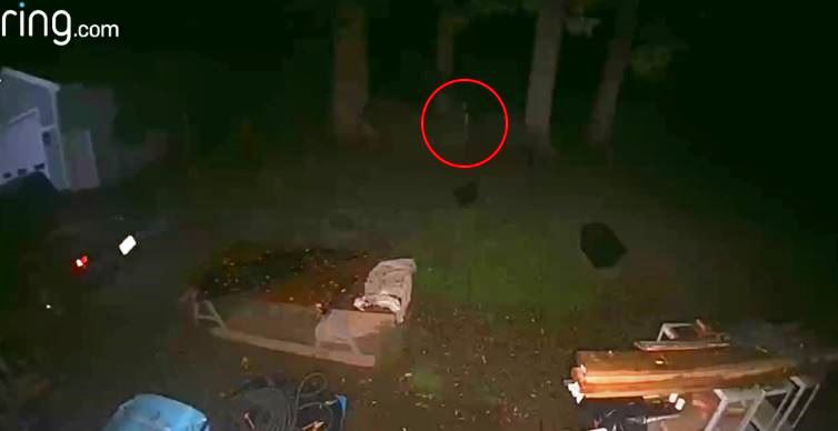 Странное существо-палочка Стикмен попало на камеру видеонаблюдения