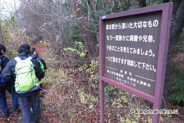 10 тревожных фактов о японском Лесе Самоубийц