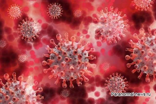 В воде крупнейшего американского озера обнаружили коронавирус
