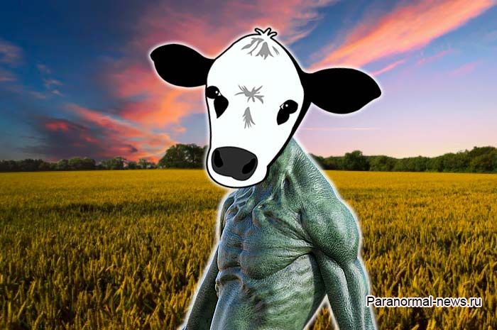 Гуманоид с лицом коровы: Уникальный случай в Висконсине