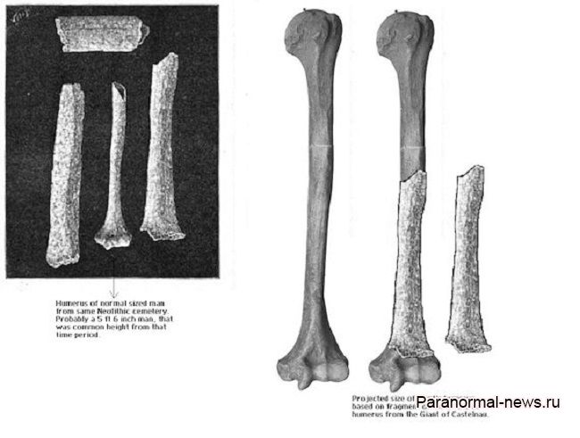 Загадка гигантских человеческих костей из Франции, о которых внезапно забыли