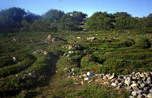 Загадочные каменные лабиринты острова Большой Заяцкий и Гиперборея