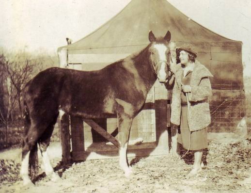 Причудливая история Леди - Великой лошади-экстрасенса