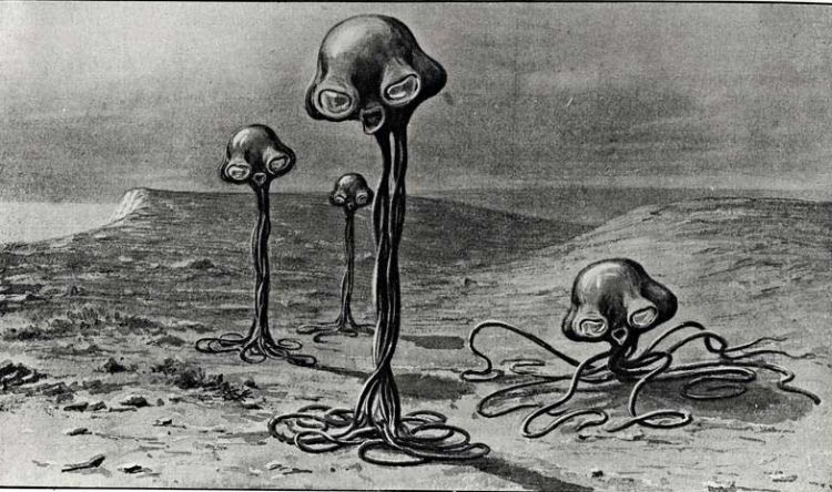 Французский зоолог Жан Перье первым описал, как выглядят марсиане