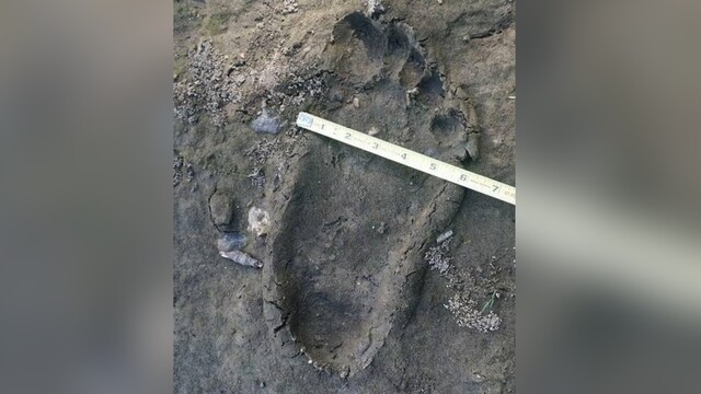 Огромные отпечатки босых ступней обнаружил на своем участке житель Канады