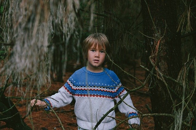 8-летний шведский мальчик гулял у леса и его похитили пришельцы