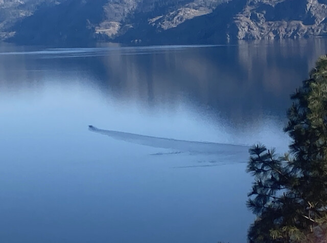 В Канаде увидели и сфотографировали нечто черное и огромное в озере Оканаган, где по легендам живет монстр 