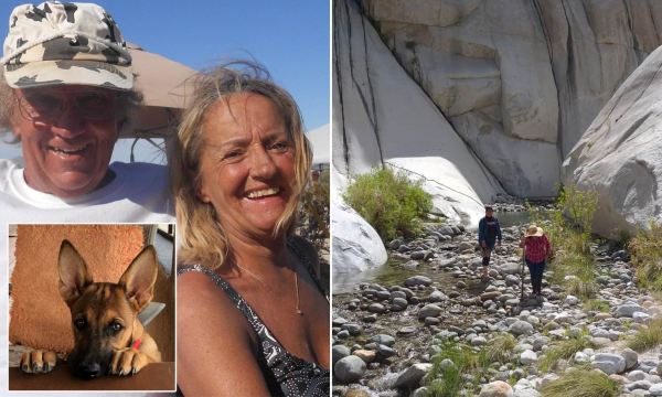 В 2019 году туристка подвернула лодыжку, присела на камень вместе со своей собакой, и вскоре оба бесследно пропали