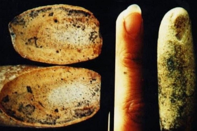 Загадка окаменелого человеческого пальца возрастом в 100 миллионов лет