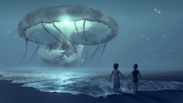 Загадка летающих медуз и небесных кальмаров