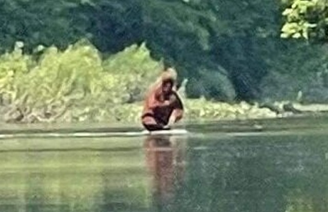 Йети, переносящий детеныша через реку, был снят жителем Мичигана на видео