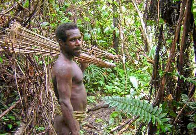 Загадочный древесный крокодил нападает на людей на Новой Гвинее