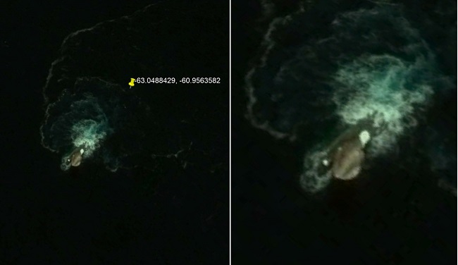 Огромное загадочное морское существо нашли на картах Google