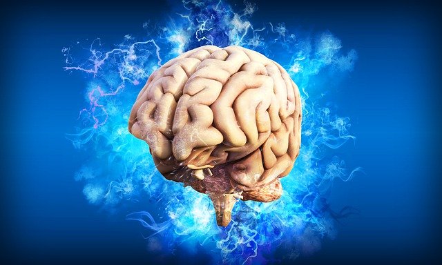 Человеческий мозг как лекарство