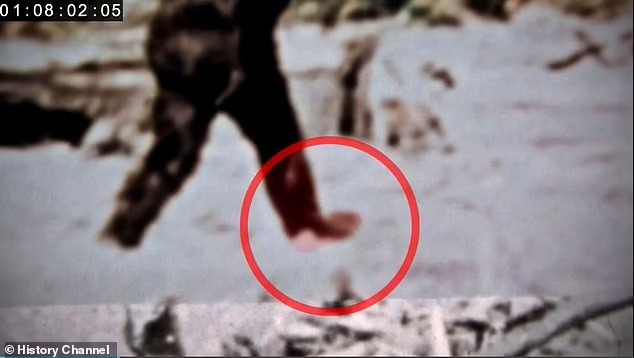 Эксперты заново изучили видео с йети, снятое Паттерсоном-Гимлином в 1967 году и пришли к выводу, что это «не человек в костюме обезьяны»