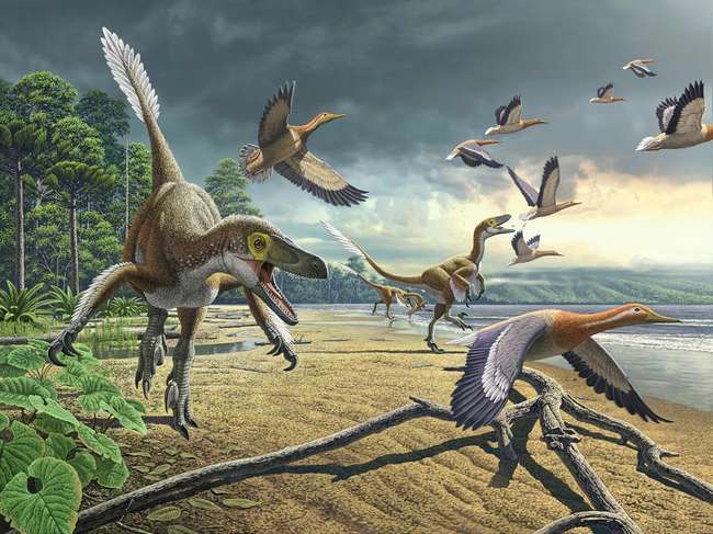 Птицы не могли произойти от динозавров?