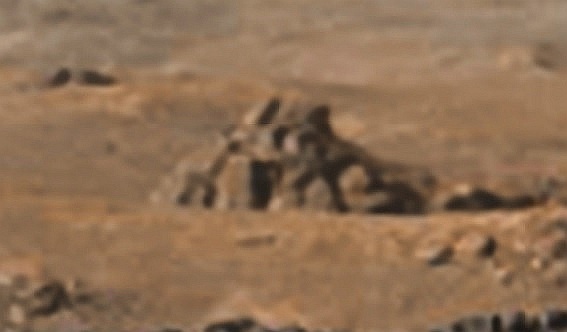 «Рукотворный храм» обнаружен на фото с Марса