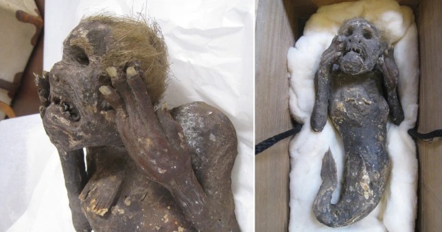 Японскую «мумию русалки» проверили на компьютерной томографии