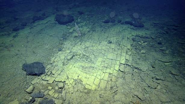 Странная «дорога» из желтых «кирпичей» найдена на дне Тихого океана