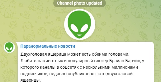 У нас появился канал в Telegram